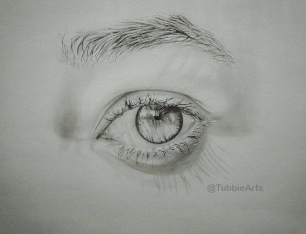 Catching Light - eye graphite pencil drawing by Sofia S. TubbieArts