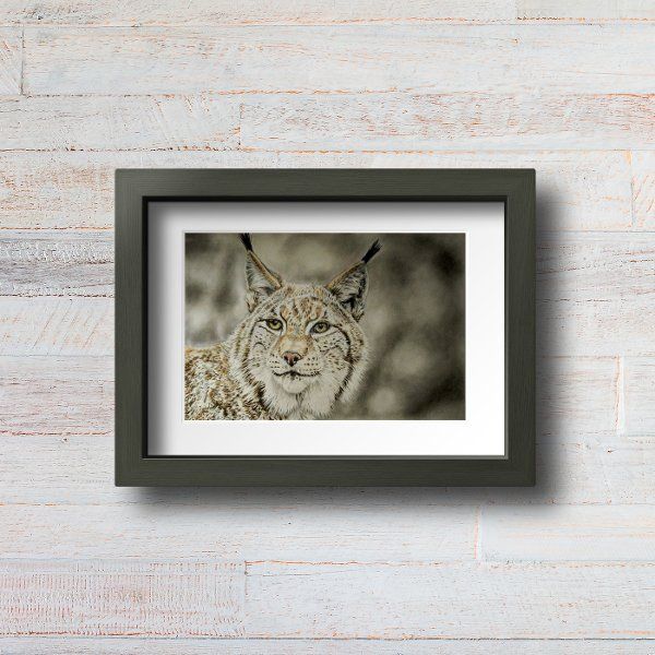 Lynx drawing print light wooden frame with passepartout mounted on the wall (mockup)