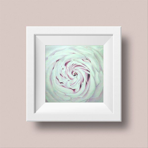 Rose Drawing square frame with white passepartout in light pink wall (mockup)