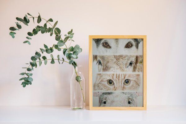 Speciesism Original Artwork small frame on top of table with plant decor mockup