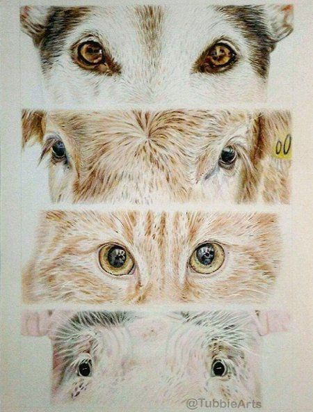 Speciesism original colored pencil artwork by Sofia S. Tubbie Arts