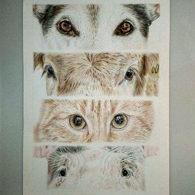 Speciesism original colored pencil drawing